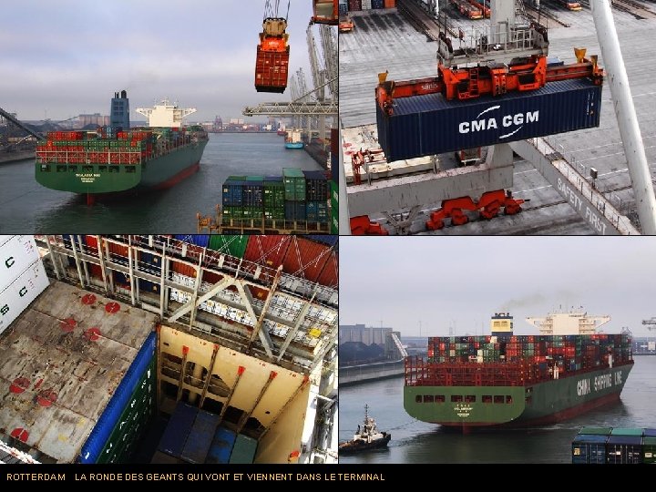 ROTTERDAM LA RONDE DES GEANTS QUI VONT ET VIENNENT DANS LE TERMINAL 