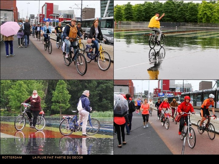 ROTTERDAM LA PLUIE FAIT PARTIE DU DECOR 