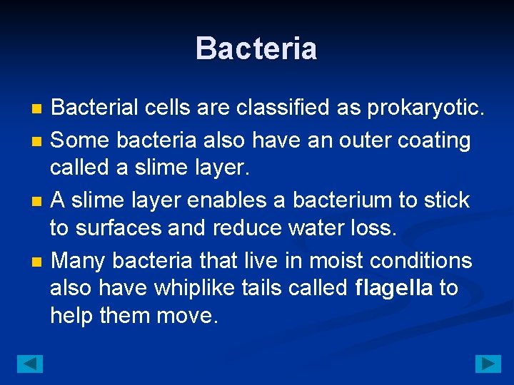 Bacteria n n Bacterial cells are classified as prokaryotic. Some bacteria also have an