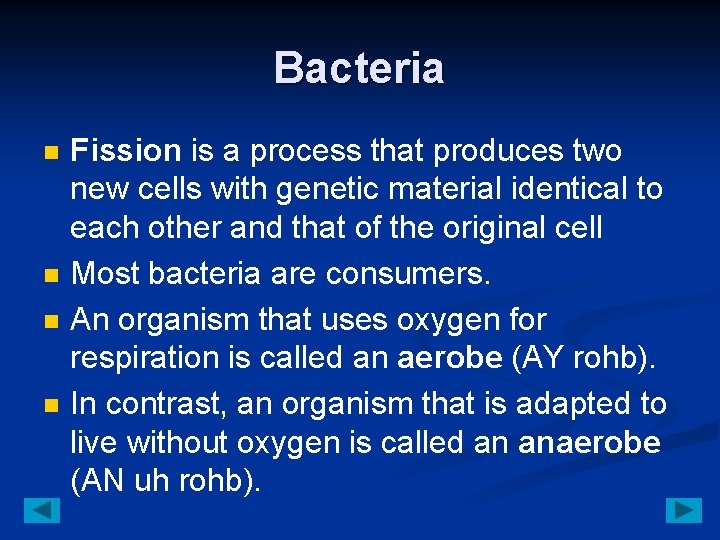 Bacteria n n Fission is a process that produces two new cells with genetic