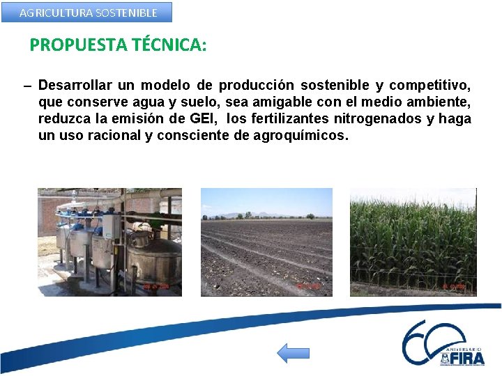 AGRICULTURA SOSTENIBLE PROPUESTA TÉCNICA: – Desarrollar un modelo de producción sostenible y competitivo, que