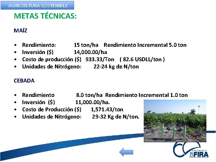 AGRICULTURA SOSTENIBLE METAS TÉCNICAS: MAÍZ • • Rendimiento: 15 ton/ha Rendimiento Incremental 5. 0