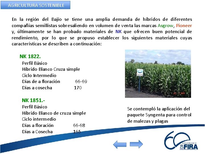 AGRICULTURA SOSTENIBLE En la región del Bajío se tiene una amplia demanda de híbridos