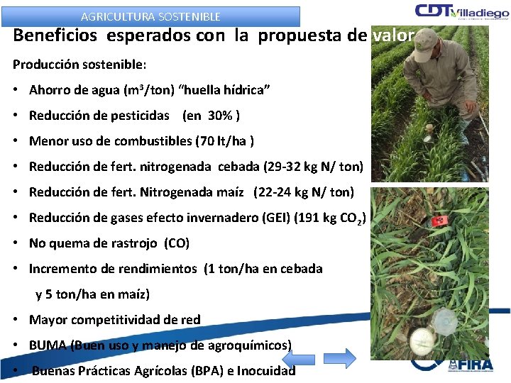 AGRICULTURA SOSTENIBLE Beneficios esperados con la propuesta de valor Producción sostenible: • Ahorro de