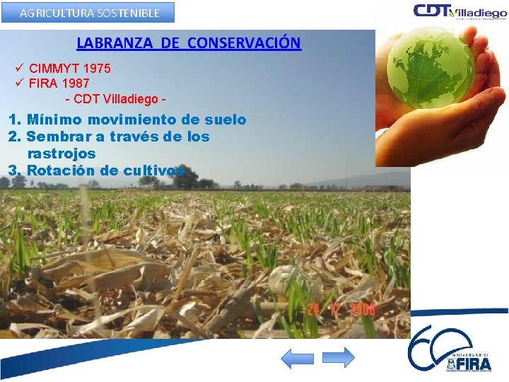 AGRICULTURA SOSTENIBLE LABRANZA DE CONSERVACIÓN ü CIMMYT 1975 ü FIRA 1987 - CDT Villadiego