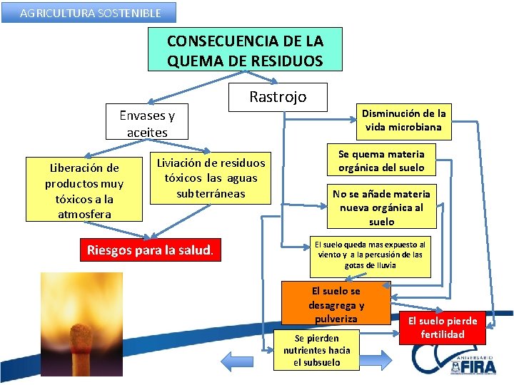 AGRICULTURA SOSTENIBLE CONSECUENCIA DE LA QUEMA DE RESIDUOS Envases y aceites Liberación de productos