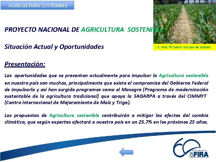 AGRICULTURA SOSTENIBLE PROYECTO NACIONAL DE AGRICULTURA SOSTENIBLE Situación Actual y Oportunidades L-C maíz PV