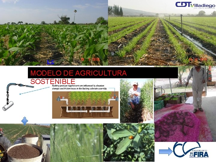 AGRICULTURA SOSTENIBLE L-C MODELO DE AGRICULTURA SOSTENIBLE 