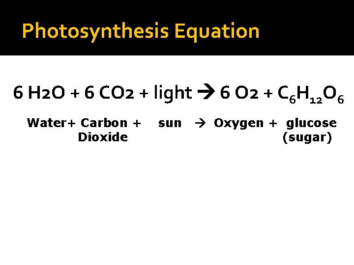 Photosynthesis Equation 6 H 2 O + 6 CO 2 + light 6 O