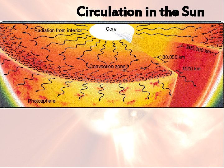 Circulation in the Sun 