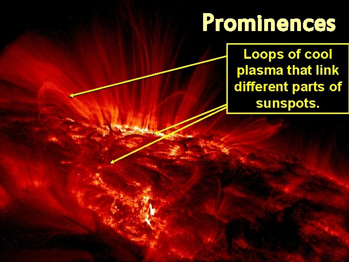 Prominences Loops of cool plasma that link different parts of sunspots. 
