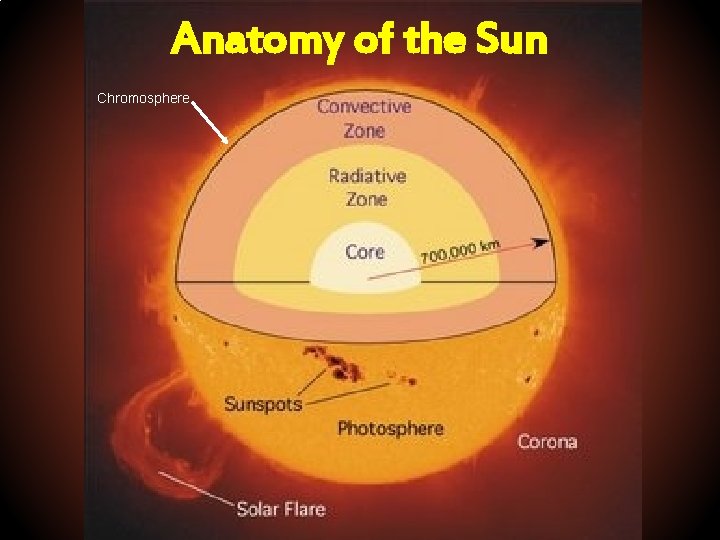 Anatomy of the Sun Chromosphere 