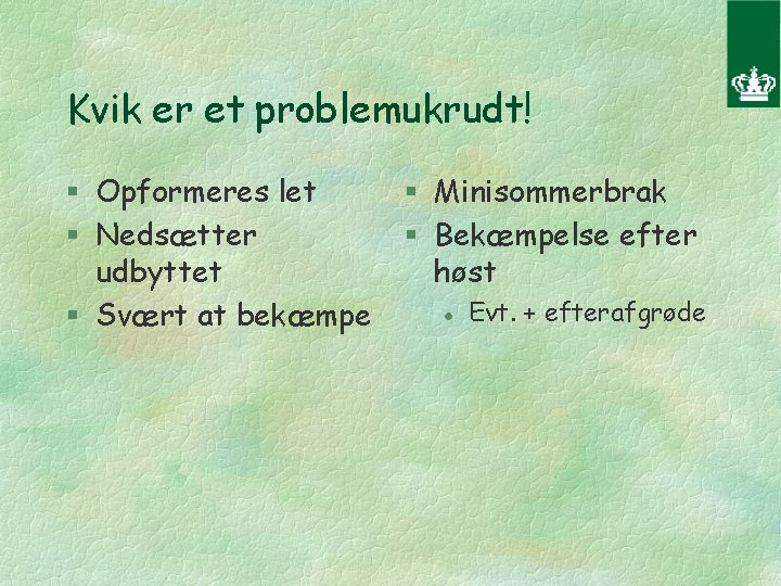 Kvik er et problemukrudt! § Opformeres let § Nedsætter udbyttet § Svært at bekæmpe