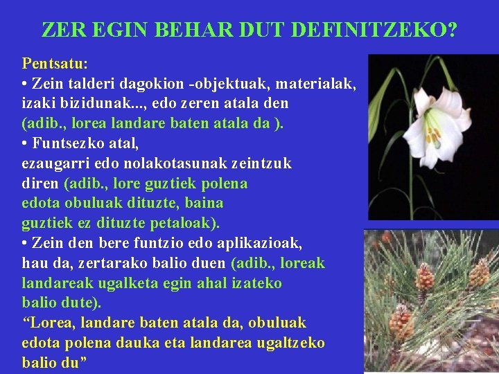 ZER EGIN BEHAR DUT DEFINITZEKO? Pentsatu: • Zein talderi dagokion -objektuak, materialak, izaki bizidunak.