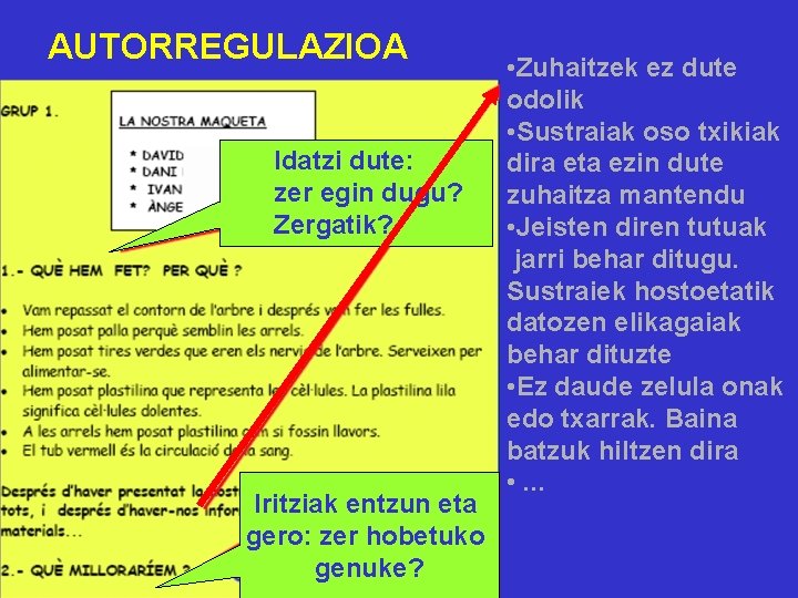 AUTORREGULAZIOA Idatzi dute: zer egin dugu? Zergatik? Iritziak entzun eta gero: zer hobetuko genuke?