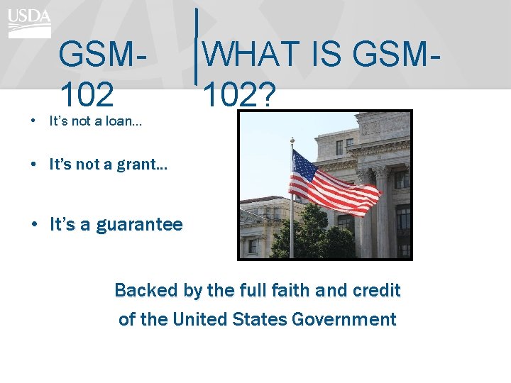 GSM 102 • It’s not a loan… WHAT IS GSM 102? • It’s not