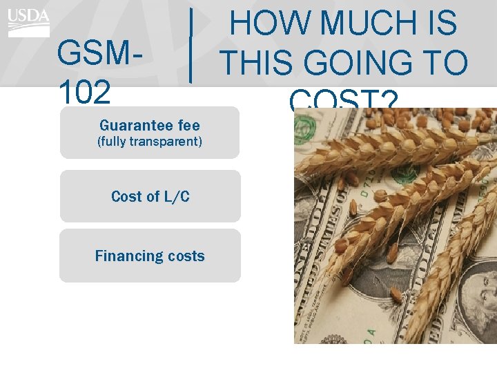 GSM 102 Guarantee fee (fully transparent) Cost of L/C Financing costs HOW MUCH IS