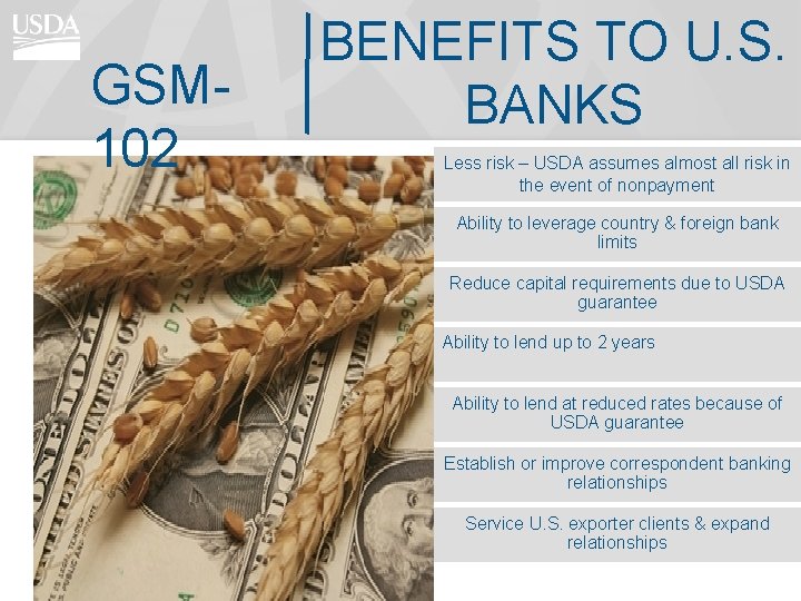 GSM 102 BENEFITS TO U. S. BANKS Less risk – USDA assumes almost all