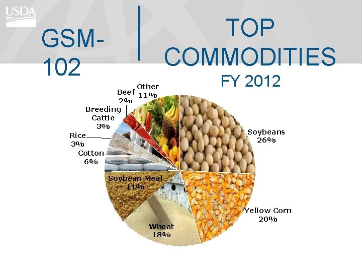 TOP COMMODITIES GSM 102 Other Beef 11% 2% Breeding Cattle 3% Rice 3% Cotton