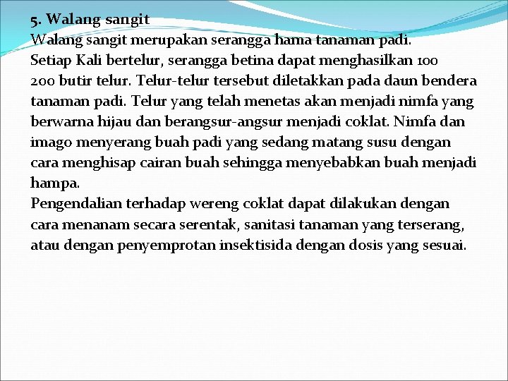 5. Walang sangit merupakan serangga hama tanaman padi. Setiap Kali bertelur, serangga betina dapat