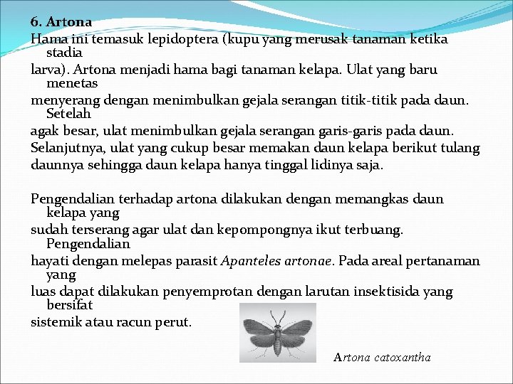 6. Artona Hama ini temasuk lepidoptera (kupu yang merusak tanaman ketika stadia larva). Artona