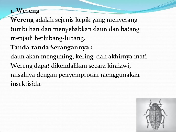 1. Wereng adalah sejenis kepik yang menyerang tumbuhan dan menyebabkan daun dan batang menjadi