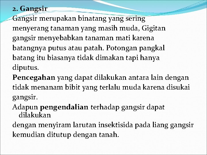 2. Gangsir merupakan binatang yang sering menyerang tanaman yang masih muda, Gigitan gangsir menyebabkan