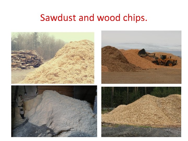 Sawdust and wood chips. 