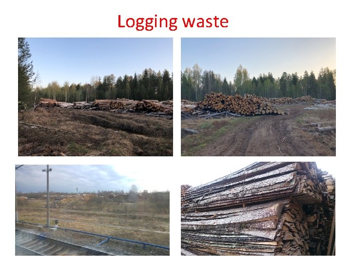 Logging waste 