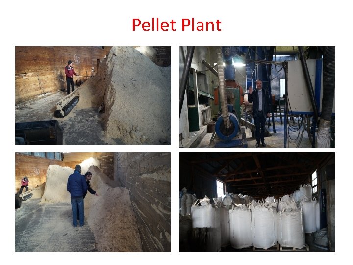 Pellet Plant 