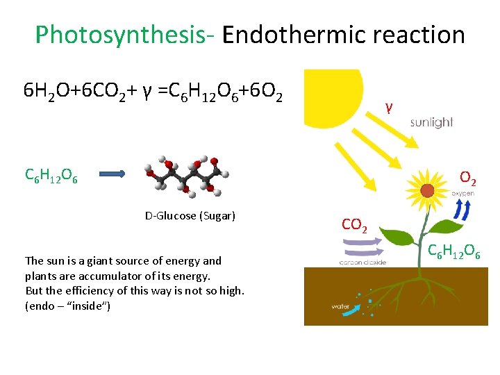 Photosynthesis- Endothermic reaction 6 H 2 O+6 CO 2+ γ =C 6 H 12