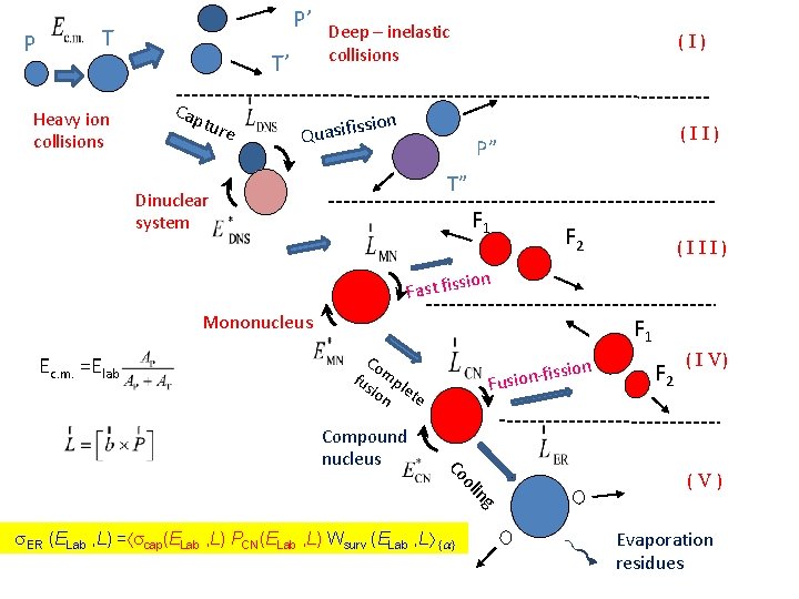 P P’ T Heavy ion collisions T’ Cap ture Deep – inelastic collisions ss