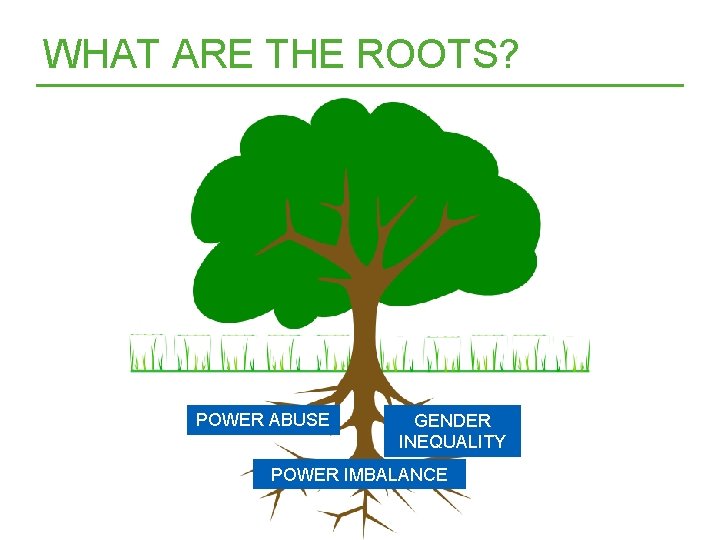 WHAT ARE THE ROOTS? POWER ABUSE GENDER INEQUALITY POWER IMBALANCE 