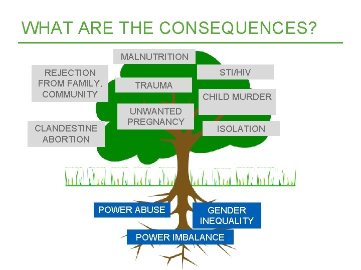 WHAT ARE THE CONSEQUENCES? MALNUTRITION REJECTION FROM FAMILY, COMMUNITY CLANDESTINE ABORTION STI/HIV TRAUMA CHILD