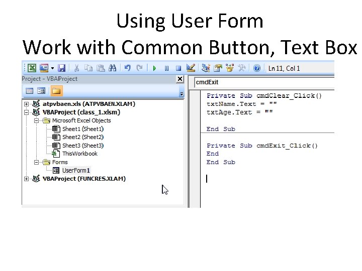 Using User Form Work with Common Button, Text Box 