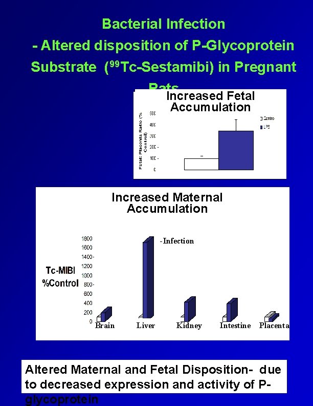 Bacterial Infection - Altered disposition of P-Glycoprotein Substrate (99 Tc-Sestamibi) in Pregnant Rats Increased