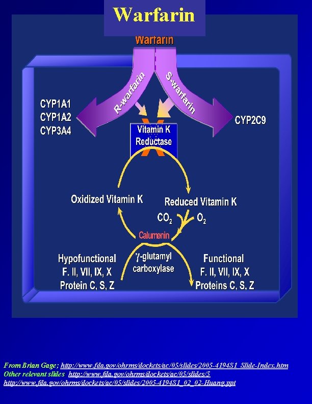 Warfarin From Brian Gage; http: //www. fda. gov/ohrms/dockets/ac/05/slides/2005 -4194 S 1_Slide-Index. htm Other relevant
