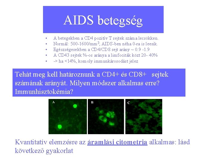 AIDS betegség • • • A betegekben a CD 4 pozitív T sejtek száma