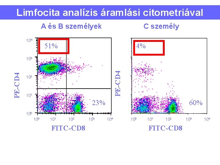 Limfocita analízis áramlási citometriával A és B személyek 104 C személy 51% 4% PE-CD