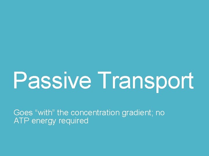 Passive Transport Goes “with” the concentration gradient; no ATP energy required 