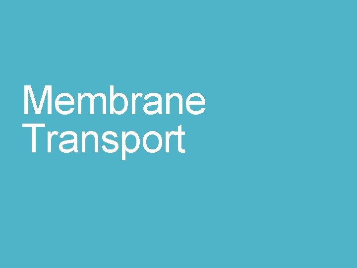 Membrane Transport 