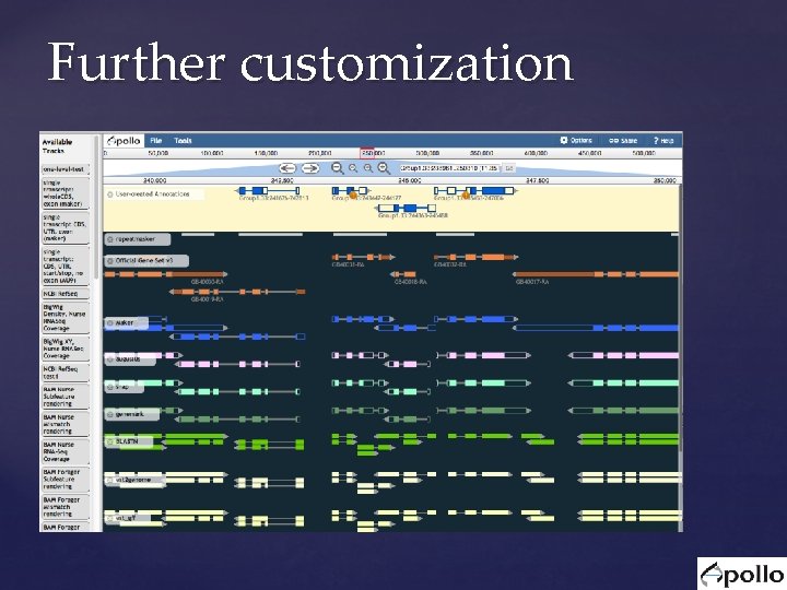 Further customization Further customization