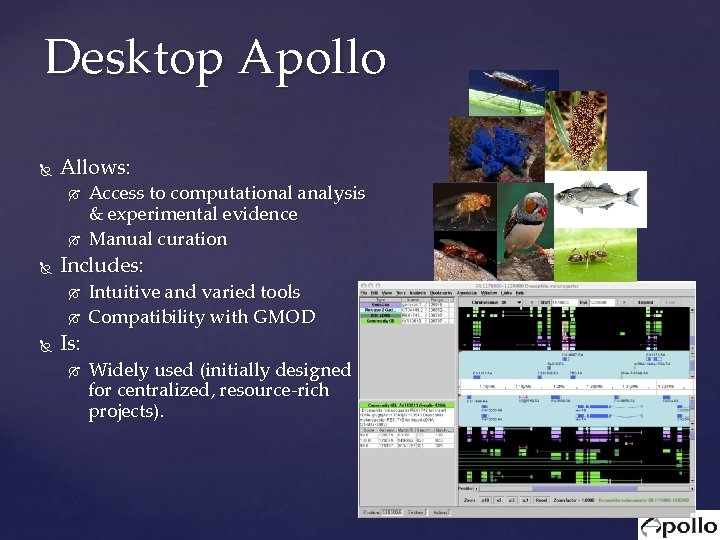 Desktop Apollo Allows: Includes: Access to computational analysis & experimental evidence Manual curation Is: Desktop Apollo Allows: Includes: Access to computational analysis & experimental evidence Manual curation Is: