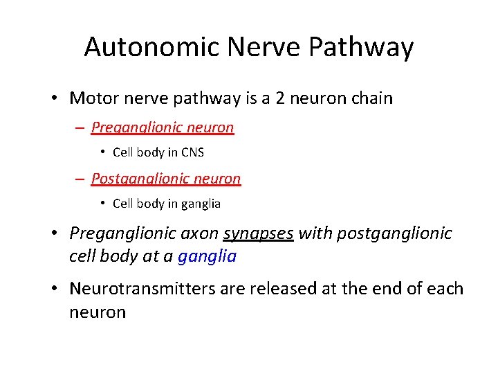 Autonomic Nerve Pathway • Motor nerve pathway is a 2 neuron chain – Preganglionic