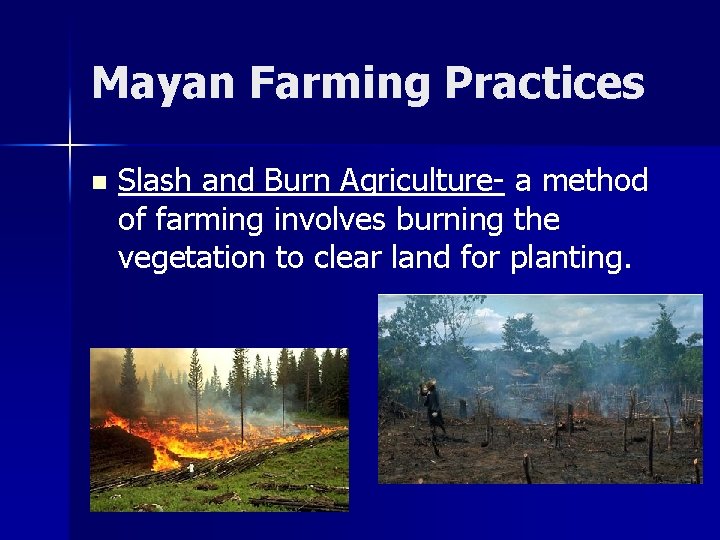 Mayan Farming Practices n Slash and Burn Agriculture- a method of farming involves burning