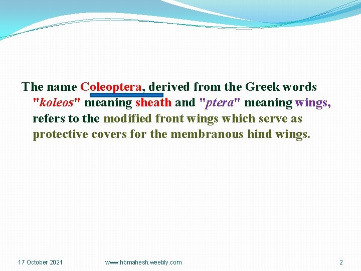 The name Coleoptera, derived from the Greek words "koleos" meaning sheath and "ptera" meaning