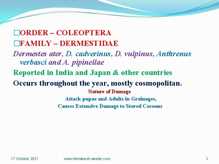 �ORDER – COLEOPTERA �FAMILY – DERMESTIDAE Dermestes ater, D. cadverinus, D. vulpinus, Anthrenus verbasci