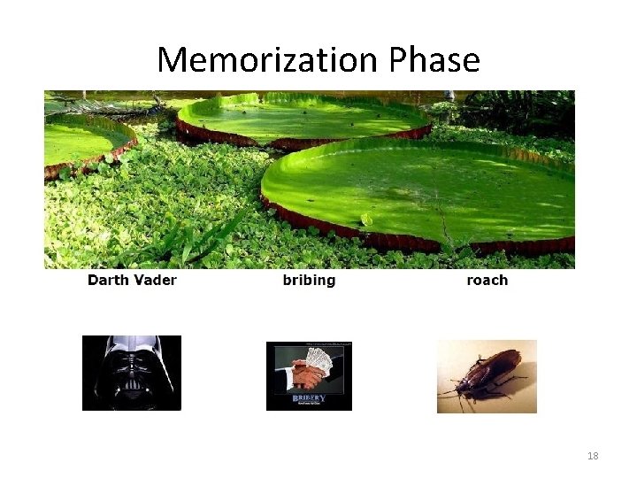 Memorization Phase 18 