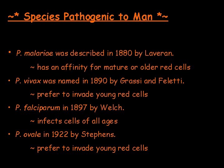 ~* Species Pathogenic to Man *~ • P. malariae was described in 1880 by