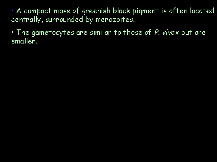  • A compact mass of greenish black pigment is often located centrally, surrounded
